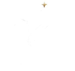 Future Dream Trading Co